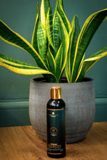Argan Oil Shampoo
