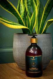 Argan Oil Shampoo